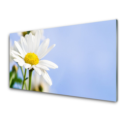 Glass Wall Art Daisy floral yellow white