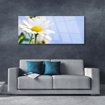 Glass Wall Art Daisy floral yellow white