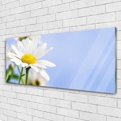 Glass Wall Art Daisy floral yellow white