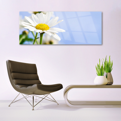 Glass Wall Art Daisy floral yellow white