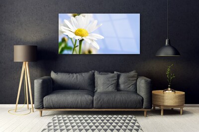 Glass Wall Art Daisy floral yellow white