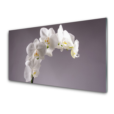 Glass Wall Art Flowers floral white