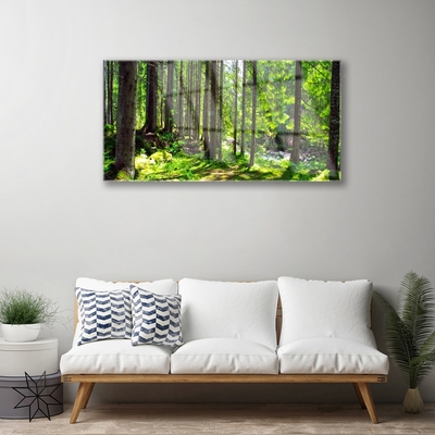 Glass Wall Art Forest nature brown green