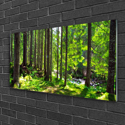 Glass Wall Art Forest nature brown green