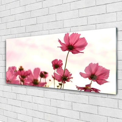 Glass Wall Art Flowers floral pink