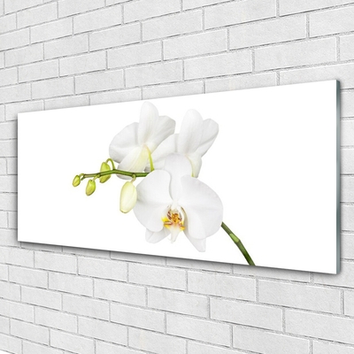 Glass Wall Art Flowers floral white