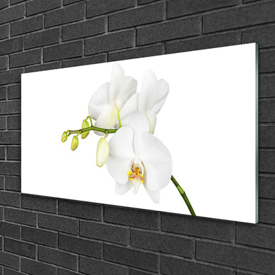 Glass Wall Art Flowers floral white