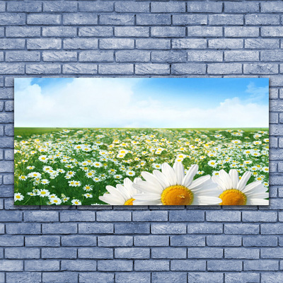 Glass Wall Art Meadow daisies floral green white yellow
