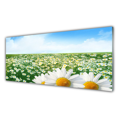 Glass Wall Art Meadow daisies floral green white yellow