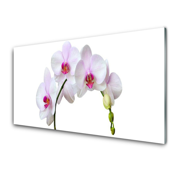 Glass Wall Art Flowers floral white pink