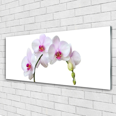 Glass Wall Art Flowers floral white pink