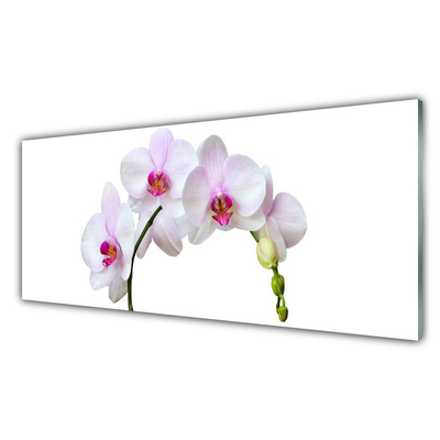 Glass Wall Art Flowers floral white pink