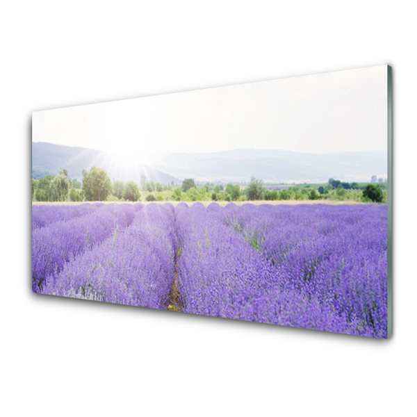 Glass Wall Art Meadow flowers nature purple