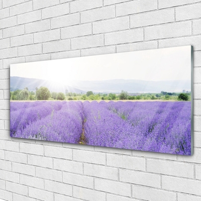 Glass Wall Art Meadow flowers nature purple