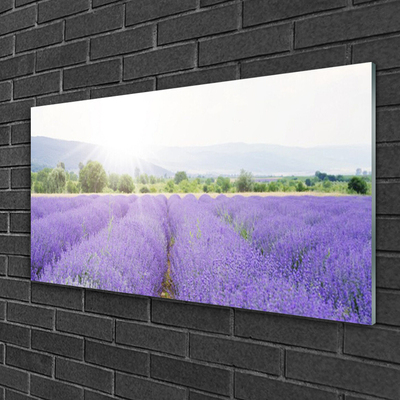 Glass Wall Art Meadow flowers nature purple
