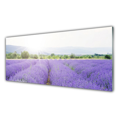 Glass Wall Art Meadow flowers nature purple