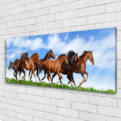 Glass Wall Art Horses animals brown white