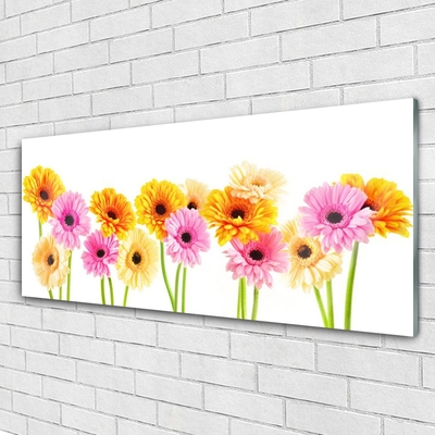 Glass Wall Art Flowers floral yellow pink green