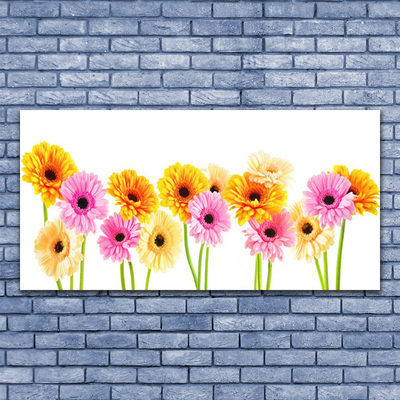 Glass Wall Art Flowers floral yellow pink green