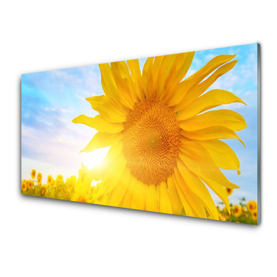 Glass Wall Art Sunflower floral yellow