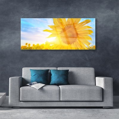 Glass Wall Art Sunflower floral yellow