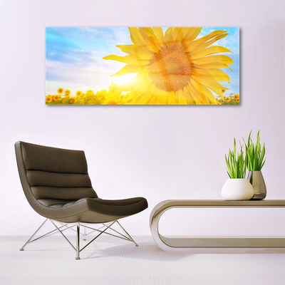 Glass Wall Art Sunflower floral yellow