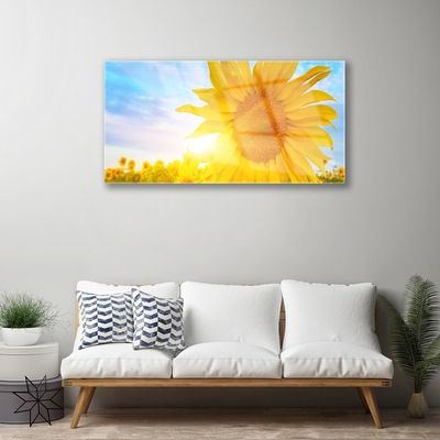 Glass Wall Art Sunflower floral yellow