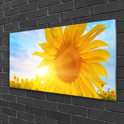 Glass Wall Art Sunflower floral yellow