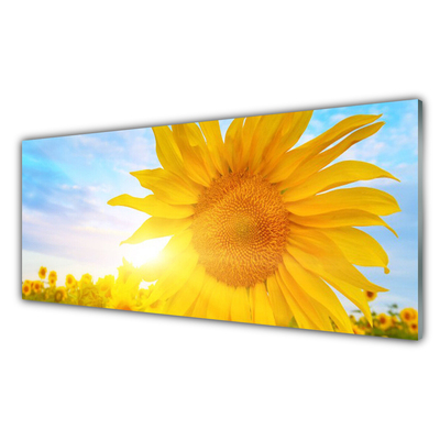 Glass Wall Art Sunflower floral yellow