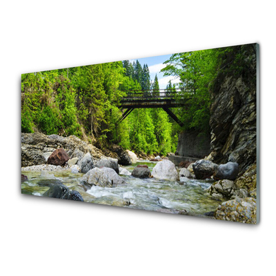 Glass Wall Art Forest bridge lake stones landscape brown green grey