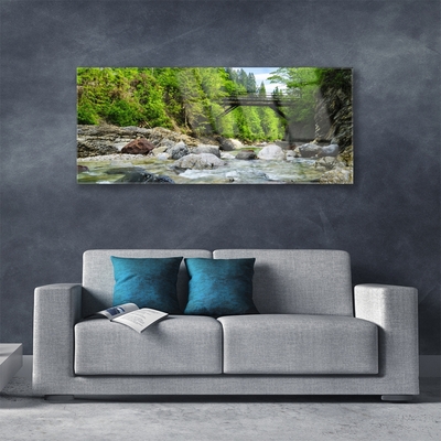 Glass Wall Art Forest bridge lake stones landscape brown green grey