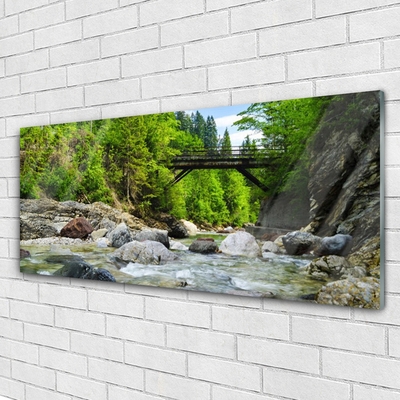 Glass Wall Art Forest bridge lake stones landscape brown green grey