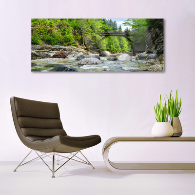 Glass Wall Art Forest bridge lake stones landscape brown green grey