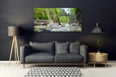 Glass Wall Art Forest bridge lake stones landscape brown green grey