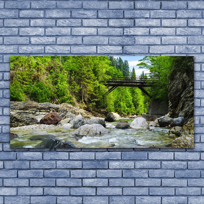 Glass Wall Art Forest bridge lake stones landscape brown green grey