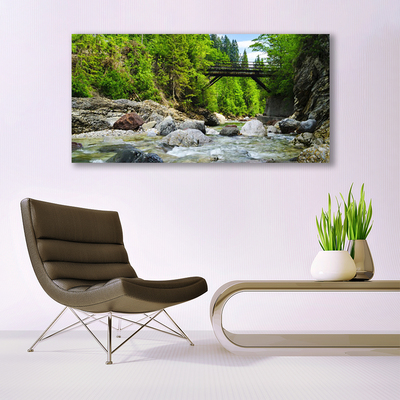 Glass Wall Art Forest bridge lake stones landscape brown green grey