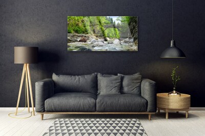 Glass Wall Art Forest bridge lake stones landscape brown green grey