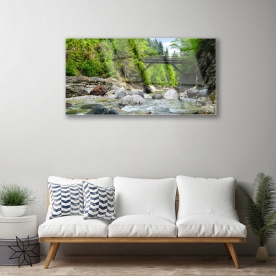 Glass Wall Art Forest bridge lake stones landscape brown green grey