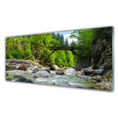 Glass Wall Art Forest bridge lake stones landscape brown green grey