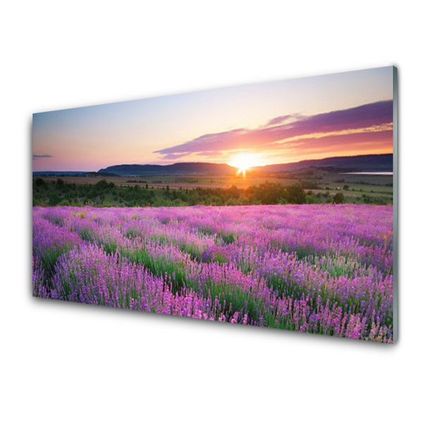 Glass Wall Art Sun meadow flowers nature yellow pink green