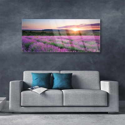 Glass Wall Art Sun meadow flowers nature yellow pink green