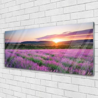 Glass Wall Art Sun meadow flowers nature yellow pink green