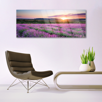 Glass Wall Art Sun meadow flowers nature yellow pink green