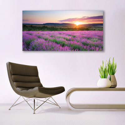 Glass Wall Art Sun meadow flowers nature yellow pink green