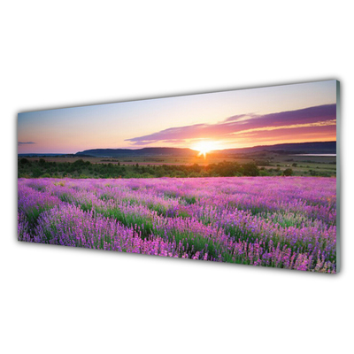 Glass Wall Art Sun meadow flowers nature yellow pink green