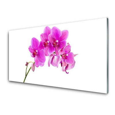 Glass Wall Art Flowers floral pink