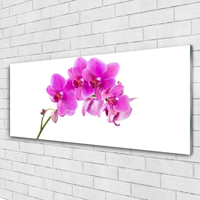 Glass Wall Art Flowers floral pink