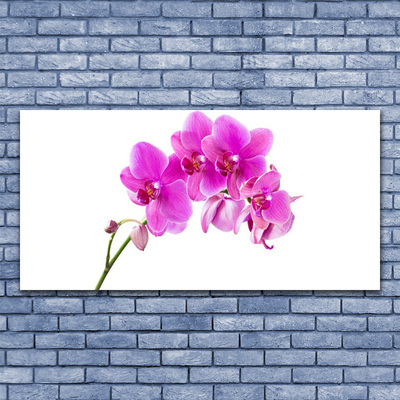 Glass Wall Art Flowers floral pink