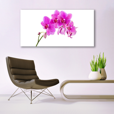 Glass Wall Art Flowers floral pink