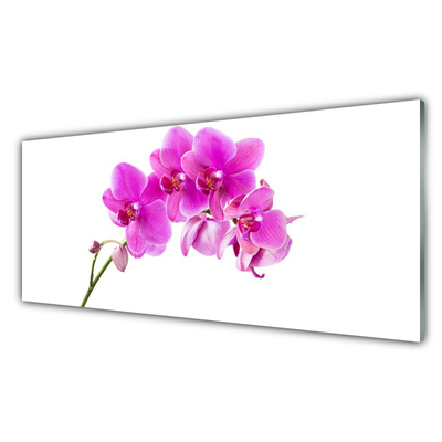 Glass Wall Art Flowers floral pink